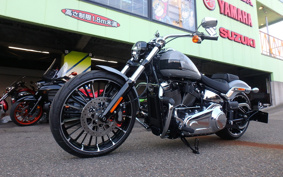 HARLEY FXBR 2025 YEZ