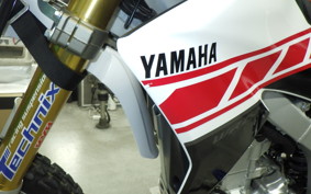 YAMAHA WR250R 2023 DG15J