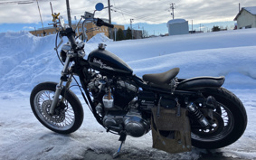 HARLEY HARLEY XLH1200 1994 CAP