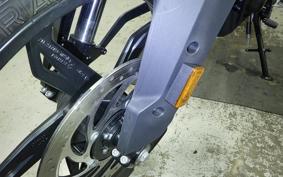 BMW G310GS 2024