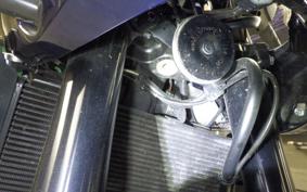 HONDA HAWK 11 2024 SC85