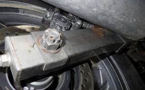 KAWASAKI ZZ-R250 EX250H