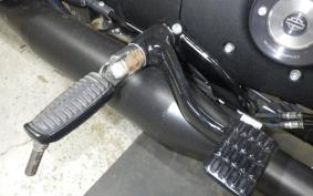 HARLEY XL883N 2021