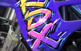 KAWASAKI KDX125 SR DX125A