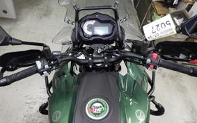 BENELLI TRK502X 2025