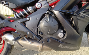 OTHER KANNAMUSPYDER F3-S 2022 RDD