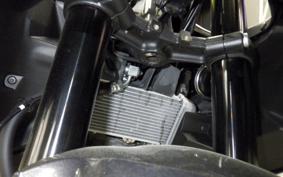 YAMAHA YZF-R15 RG86J