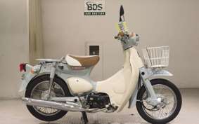 HONDA LITTLE CUB E AA01