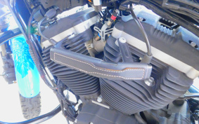 HARLEY XL883N 2009 LE2