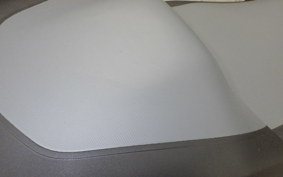 BMW R1300GS ASA 2025