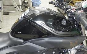 YAMAHA MT-25 2013 RG10J