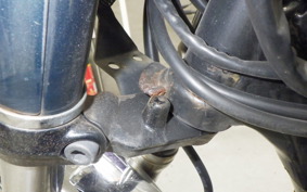 KAWASAKI ESTRELLA 2024 BJ250A