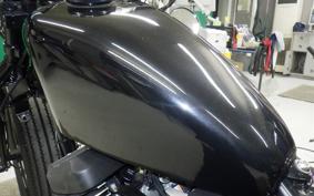 OTHER THUNDER 250