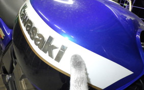 KAWASAKI ZRX1200 R 2003 ZRT20A