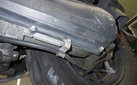 HONDA ZOOMER 2024 AF58