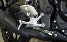 YAMAHA YZF R-3 2025 RH21J