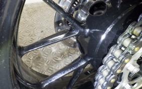 TRIUMPH SPEED TWIN 2024