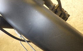 KAWASAKI W175