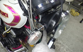 SUZUKI GSX250L 2003 GJ51B