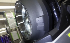 SUZUKI Vｽﾄﾛｰﾑ250A 2010