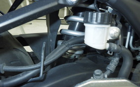 YAMAHA YZF-R3 2019 RH13J