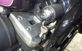 OTHER +HD. XL1200X 2010