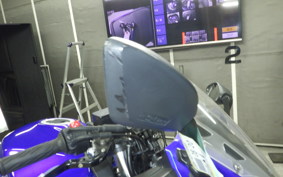 SUZUKI GSX250R 2025