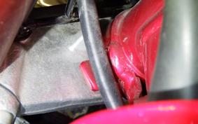 HONDA MONKEY 125 JB02