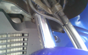 SUZUKI  SKY WAVE 250TYPES CJ43A