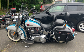 HARLEY FLSTC 2016 BWV