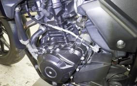 SUZUKI Vｽﾄﾛｰﾑ250 2013