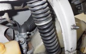 OTHER +RABBIT125 2025 S301