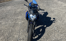 KAWASAKI Z250 SL BR250E