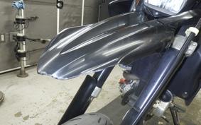 YAMAHA WR250X 2020 DG15J