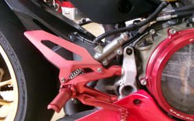 DUCATI 1299PANIGA-RES 2015 ZDMH905JAFB