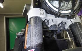 HUSQVARNA SVARTPILEN 250 2010