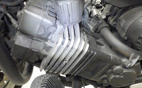 YAMAHA FZX750 2009 3XF