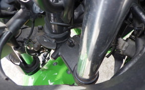 KAWASAKI NINJA 250 ABS EX250L