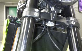 TRIUMPH TRIDENT 660 2025