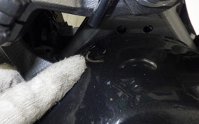 KAWASAKI NINJA 250 2024 EX250Y