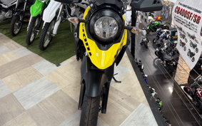 SUZUKI STROM 250 DS11A