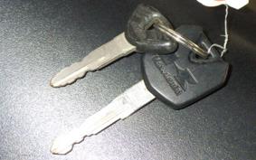 KAWASAKI NINJA 250 EX250L