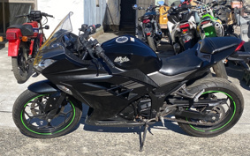 KAWASAKI NINJA 250 EX250L