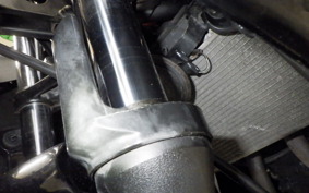 KAWASAKI NINJA 250R EX250K