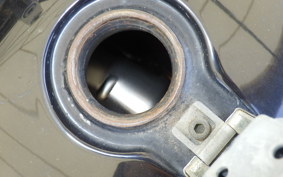 YAMAHA VIRAGO 250 3DM