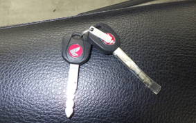 HONDA DAX 125 2024 JB04