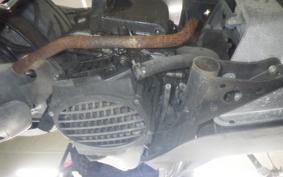HONDA BITE AF59
