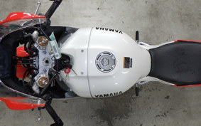 YAMAHA XSR900 GP 2024 RN96J
