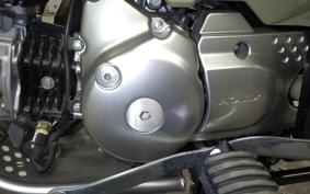 HONDA CT125 HUNTER CUB 2024 JA55