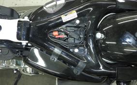 HARLEY XL1200XS 2019